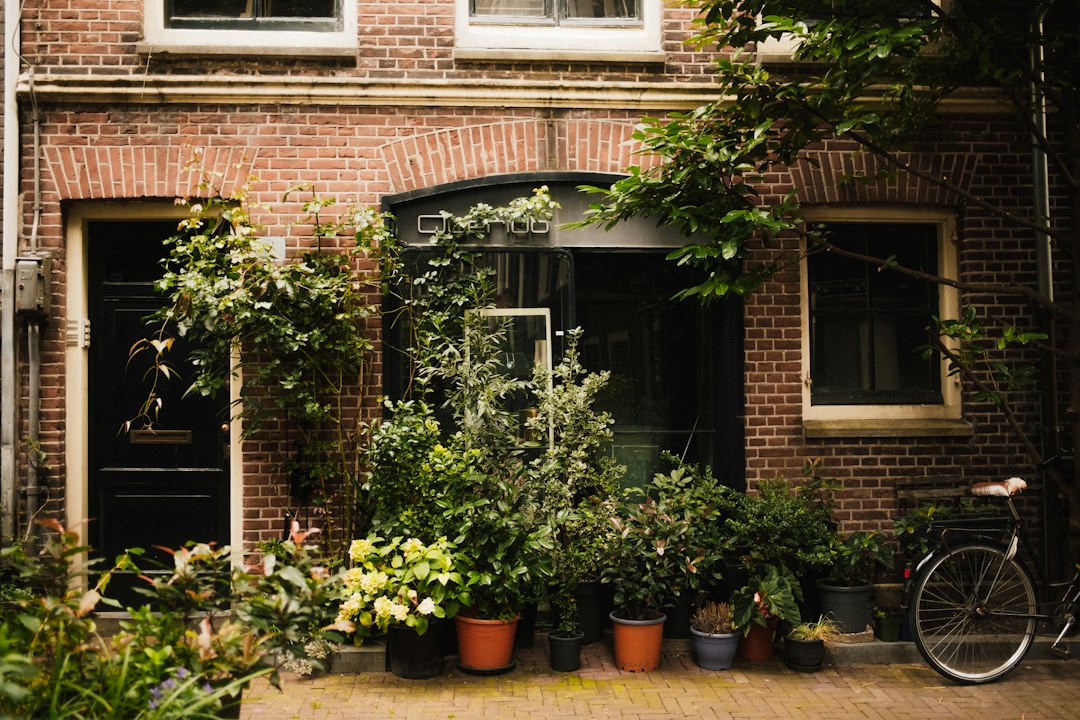 Façade d'une maison en briques avec des plantes vertes en pot et un vélo à côté, évoquant une atmosphère accueillante.